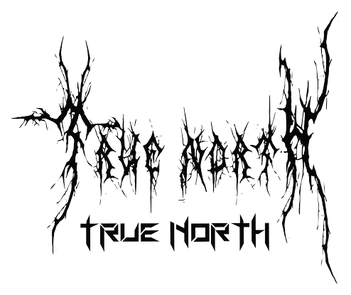 True North Collective logo